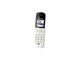 Smart Home Panasonic KX-HNH100FXW