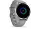 Смарт часовници Garmin Venu 2 Plus Silver Powder Gray
