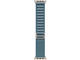 Смарт часовници Apple Watch Ultra 3 Cellular 49mm Natural Titanium Case with Light Blue Alpine Loop - Medium