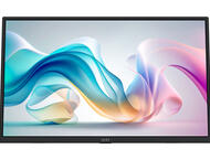 Монитори MSI Pro MP165 E6