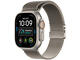 Milanese Loop, Natural Titanium, Large