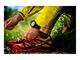 Смарт часовници Suunto Quest Yellow