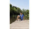 Външни батерии Hama "Pipe" Power Pack, 13000 mAh, в бяло-червено
